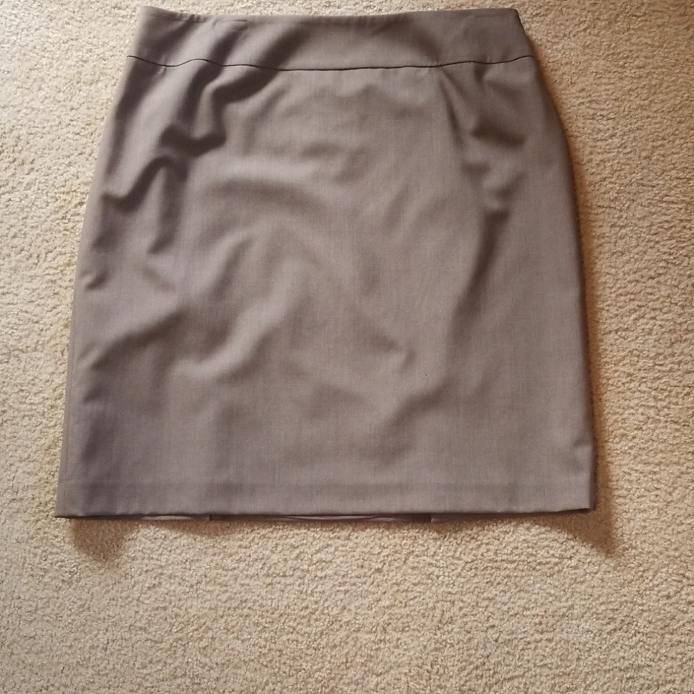Dressy Skirt